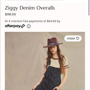 Black Free People overalls